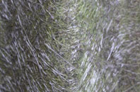 Alpheton fibreglass roof work